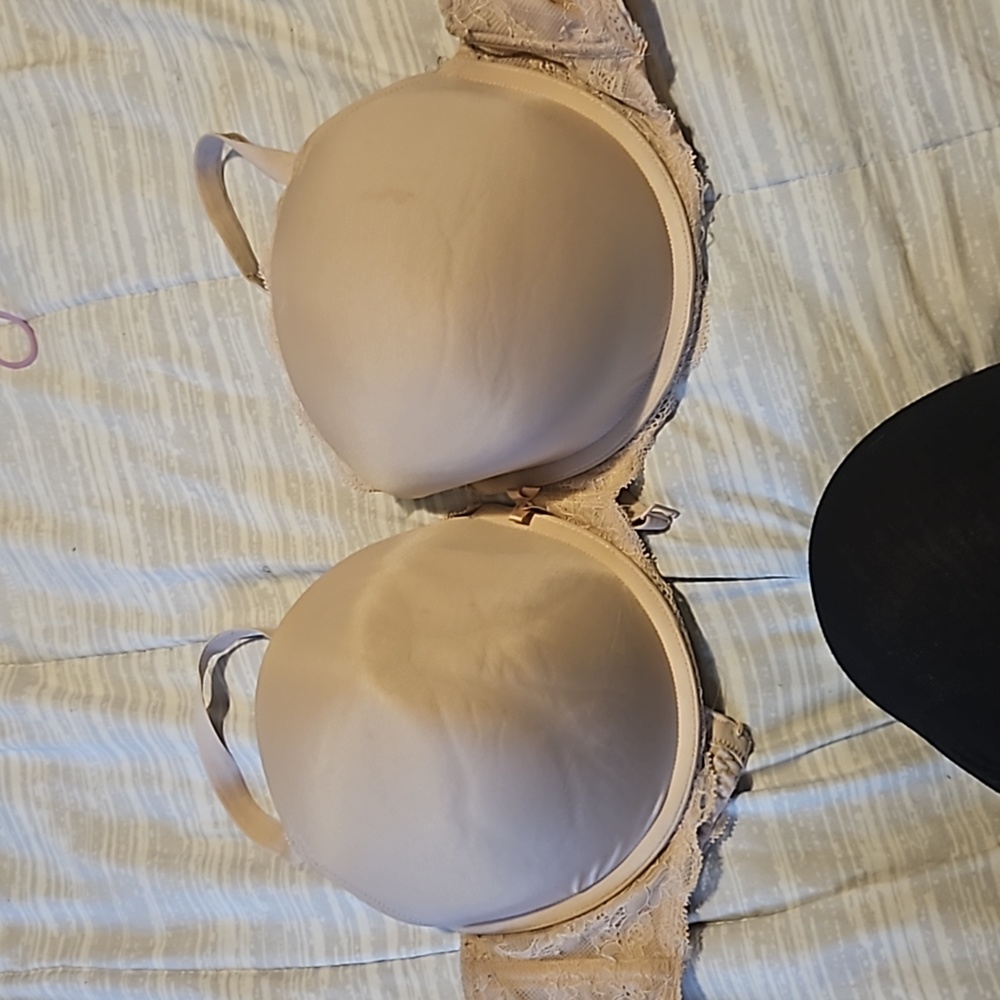 Torrid bra